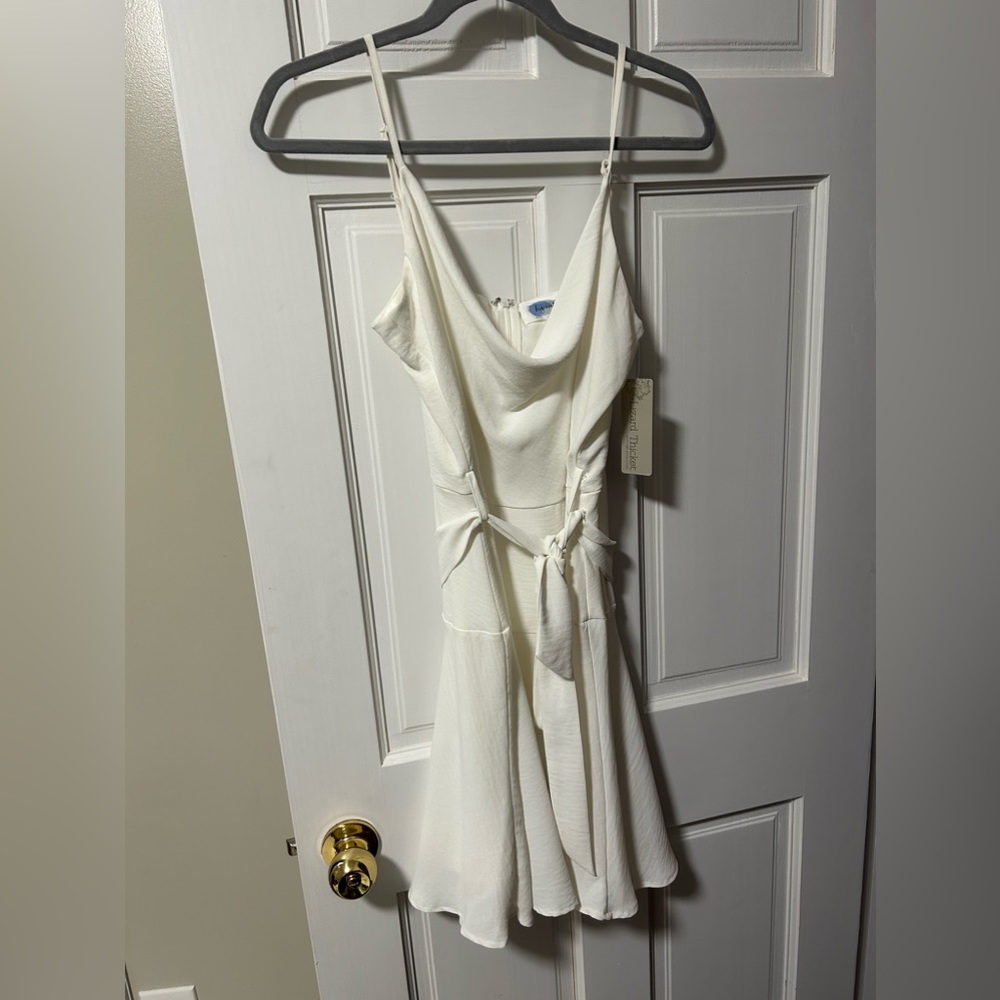 Lizard Thicket White Sleeveless Dress